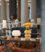 MYCO – Bild 3